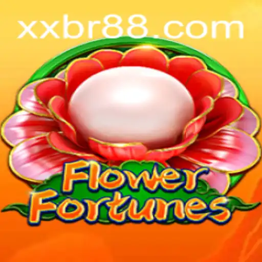 XXBR Videogames