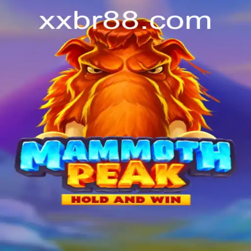 XXBR Casino App