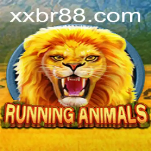 XXBR Videogames